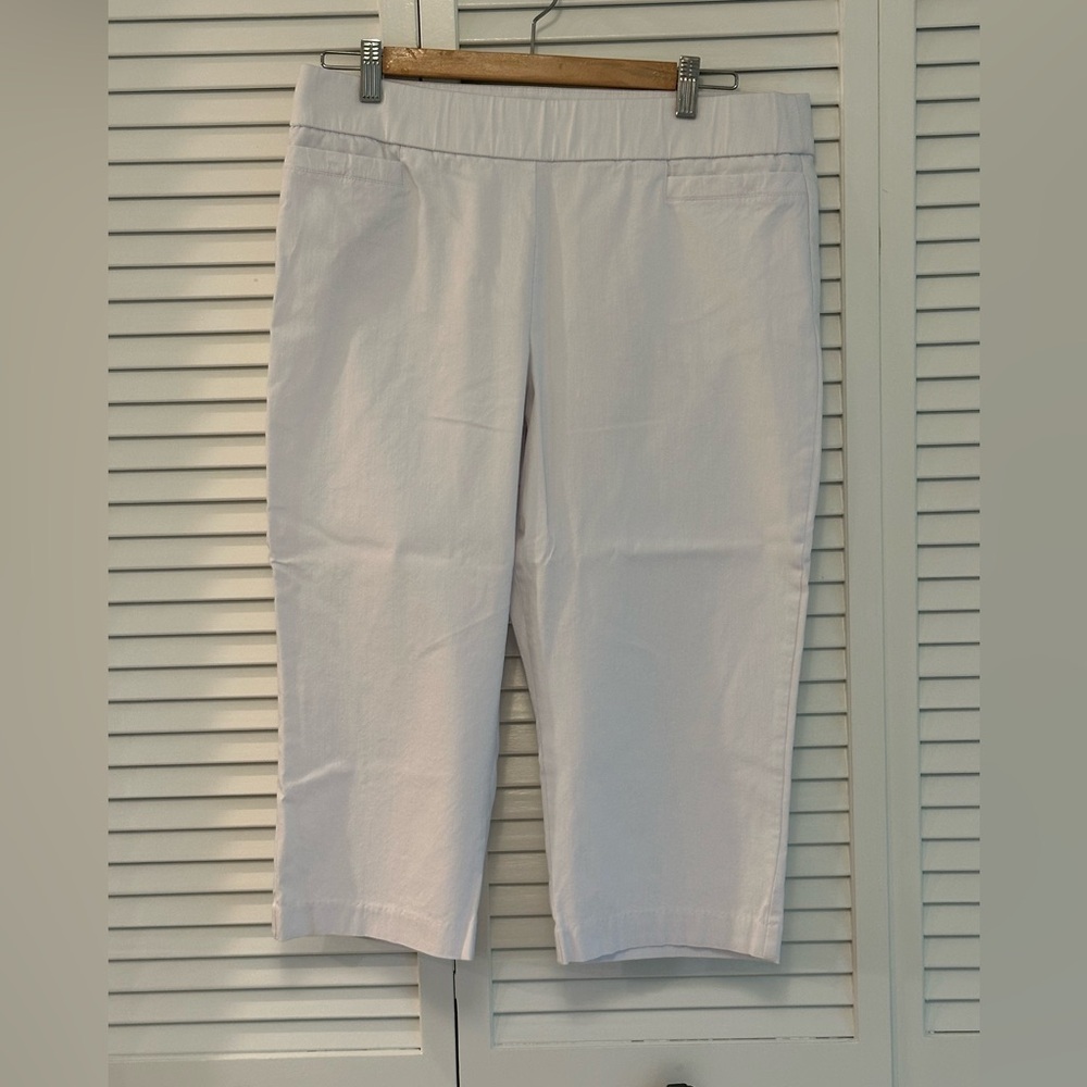 🐧3/$15 or 5/$20 - Kim Rogers Capri Pants with Elastic Waist